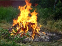 Bonfire - NOT ours!